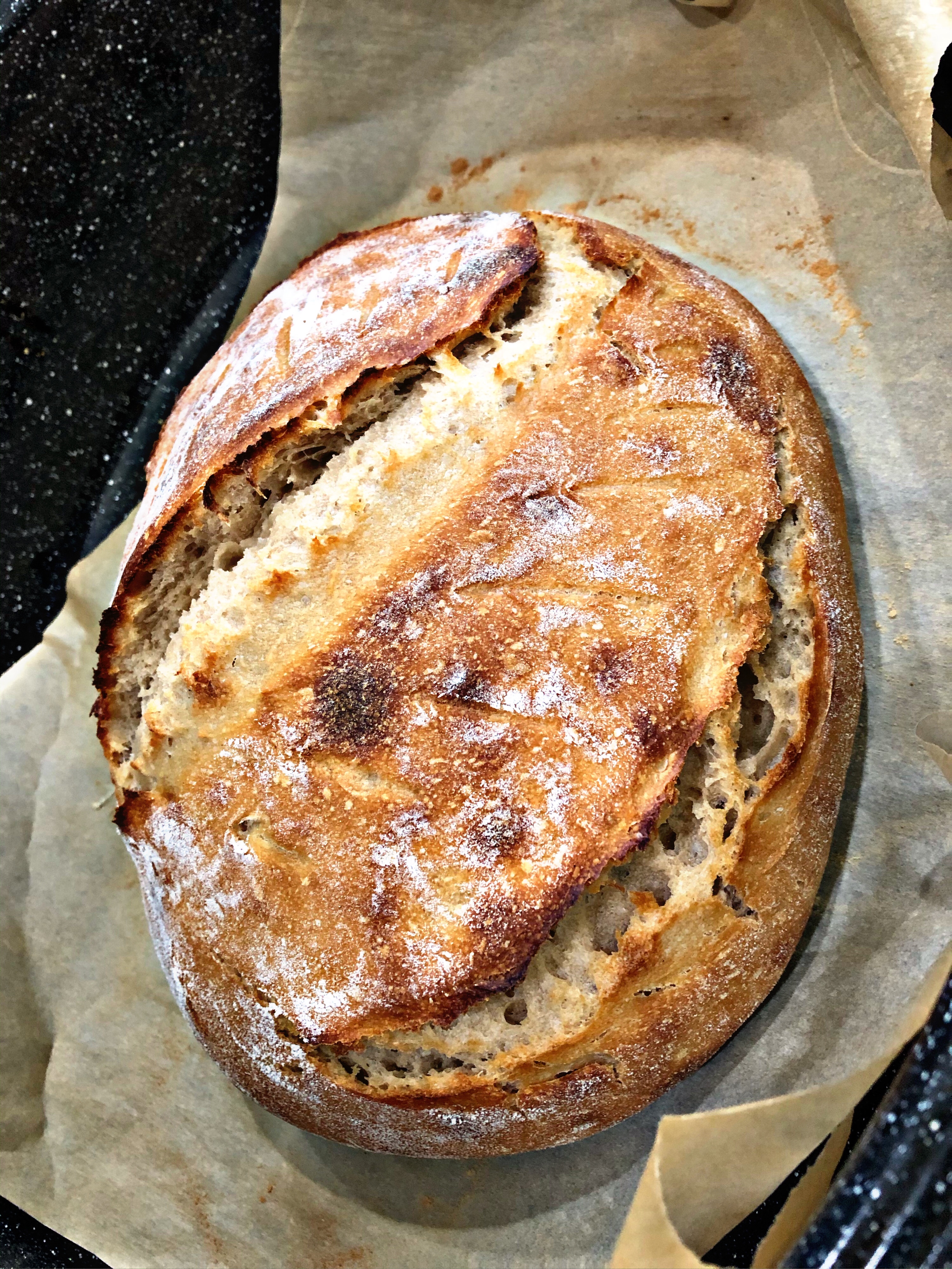Indian Wheat Flour Sourdough Bread