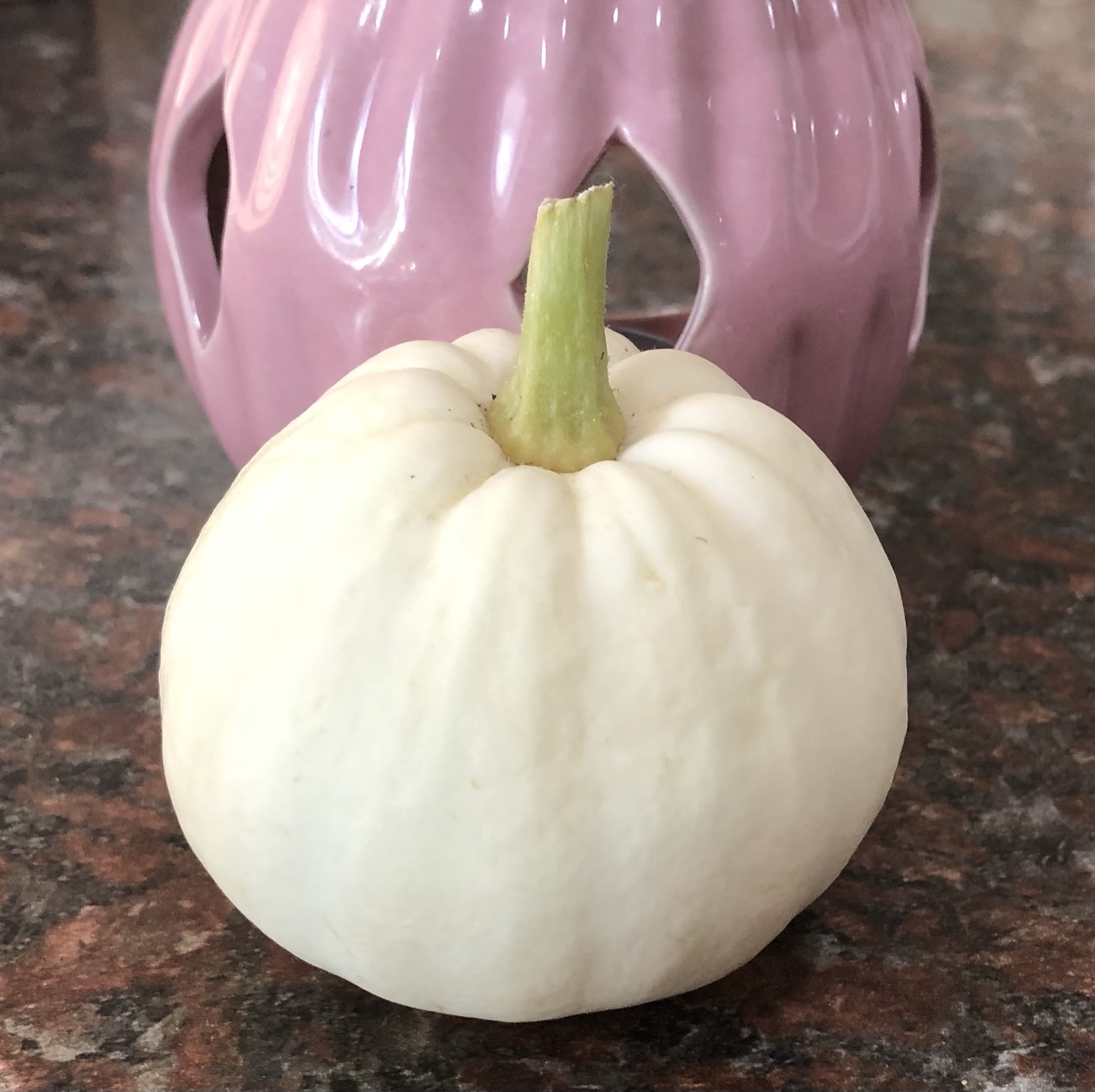 How to Grow Pumpkin Seedlings from a Store Bought Pumpkins