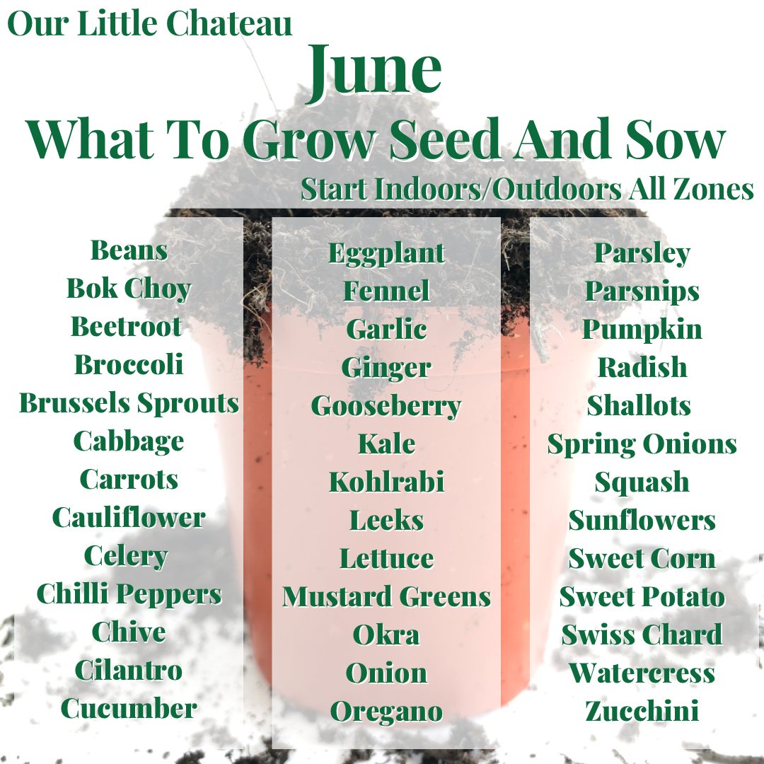 June What to Grow Seed and Sow